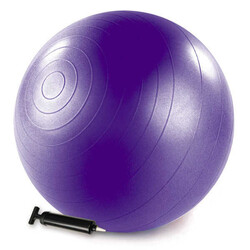 Stott Pilates - Merrithew Health & Fitness Barrel Denge Topu Pompalı 75cm (ST-06049) Mor Stott Pilates - Merrithew Health & Fitness Barrel Denge Topu Pompalı 75cm (ST-06049) Mor