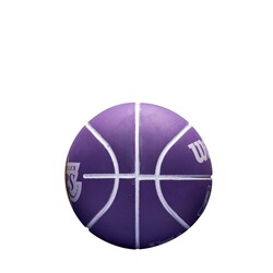 Wilson Avuç İçi Boy Mini Basketbol Topu Los Angeles Lakers WTB1100PDQLAL - Thumbnail