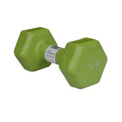 Protech - Protech 6 Kg Vinyl Dipping Dambıl - Green Protech - Protech 6 Kg Vinyl Dipping Dambıl - Green