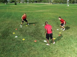 Sklz Agility Cone Set - Koni Seti NSK000022 - Thumbnail