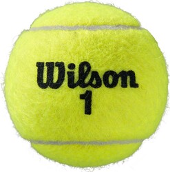 Wilson Tenis Topu Roland Garros Clay CT 4 BALL WRT115000 - Thumbnail