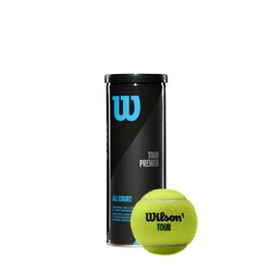 Wilson Tenis Topu Tour Premier All CT 3 lü WRT109400 - Thumbnail