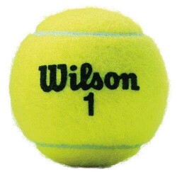 Wilson Tenis Topu Championship XD 3lü (WRT100101) - Thumbnail