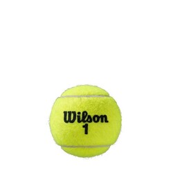 Wilson Tenis Topu Roland Garros All Ct 3 Ball Wrt126400 - Thumbnail